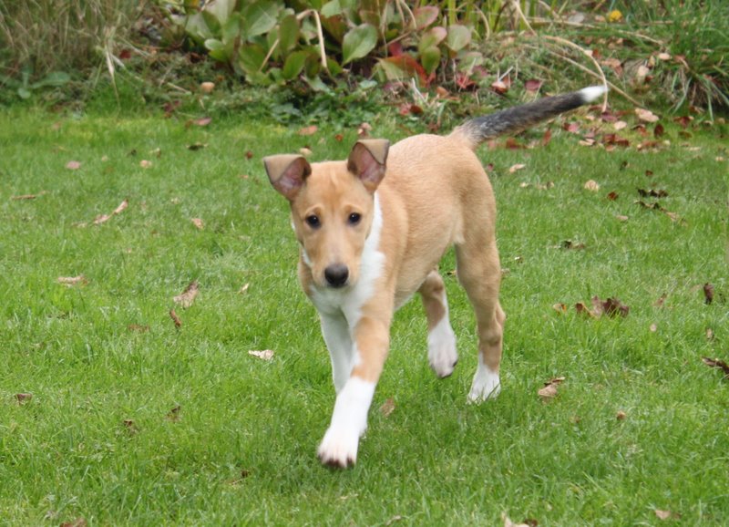 Zo� im Garten Oktober 2010