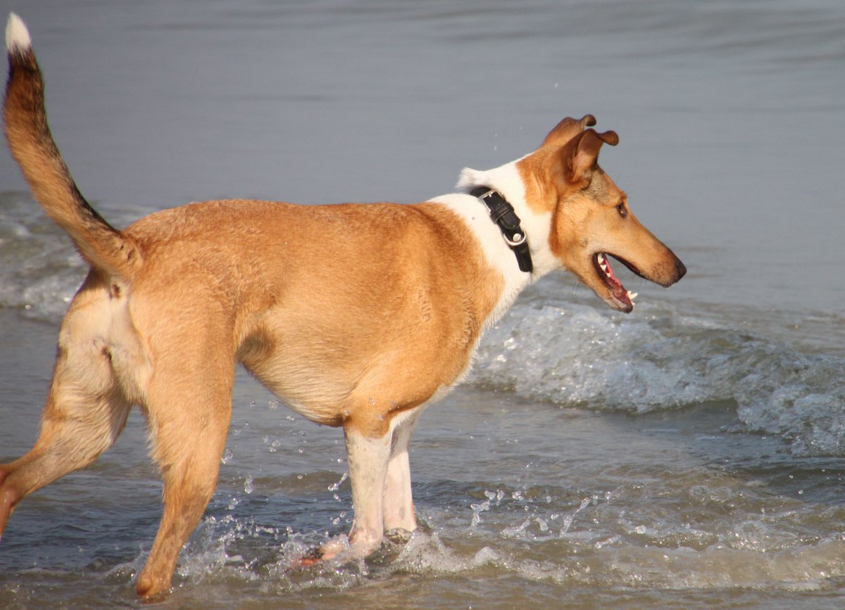 Strandspaziergang R�gen 2011