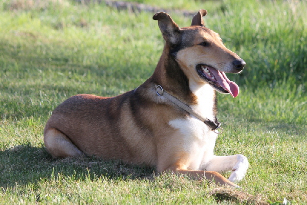 die Sch�pfung (Genesis)