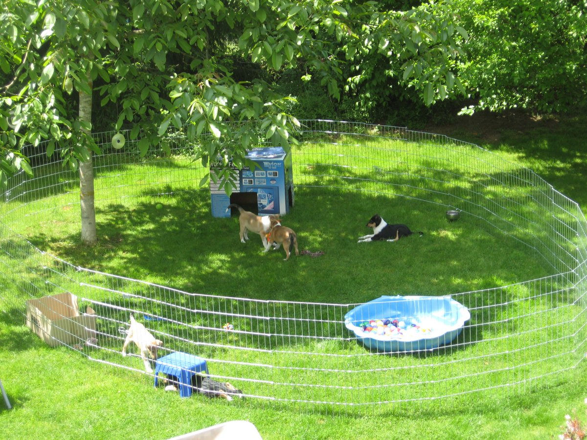 Hundespielplatz