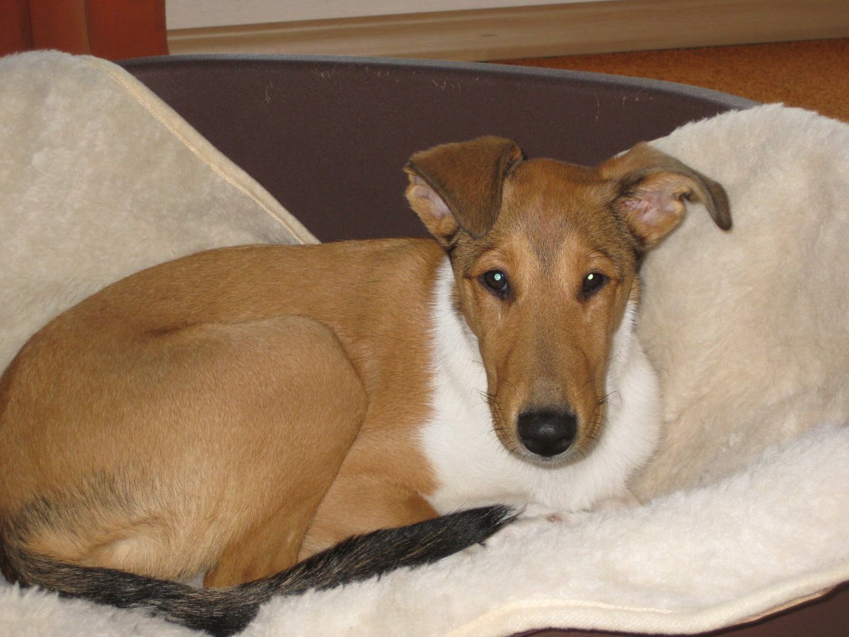 Amy