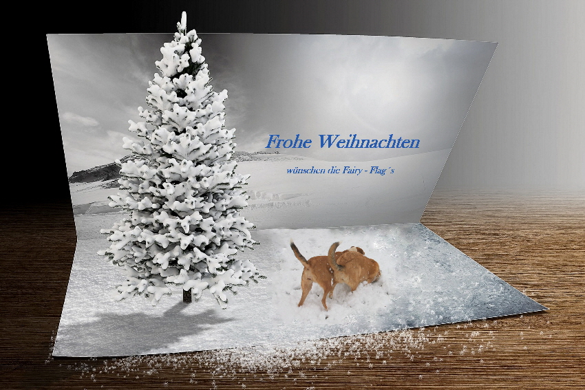 2 online Weihnahtcskarte