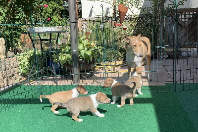 Lara Ostern Lara Ostern