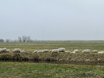 noch ist die Bar ge�ffnet