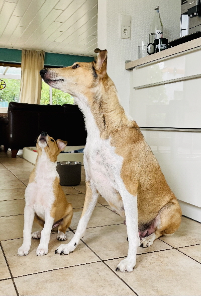 Lara Ostern Lara Ostern
