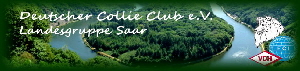 Logo DC LG Saar1 Logo DC LG Saar1