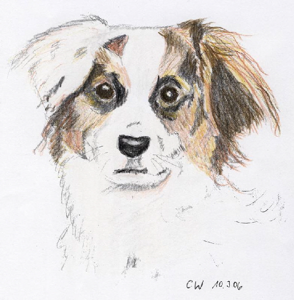 Portrait Strolchi
