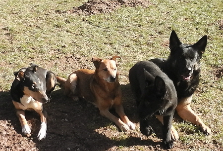 Kendra und ihre "Gang"