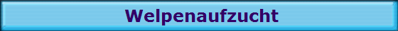 Welpenaufzucht